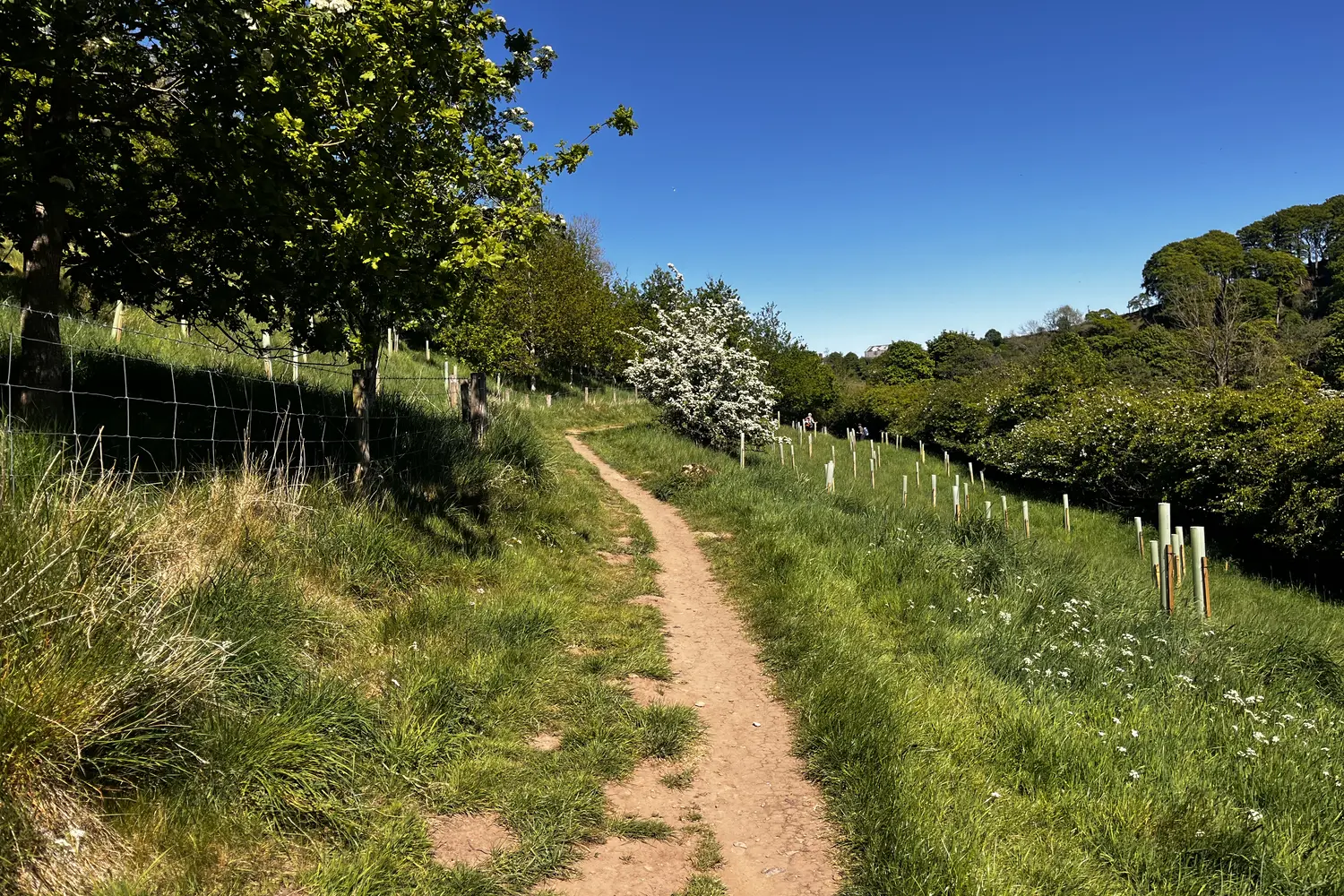 Hadrian's Wall Path in England, UK