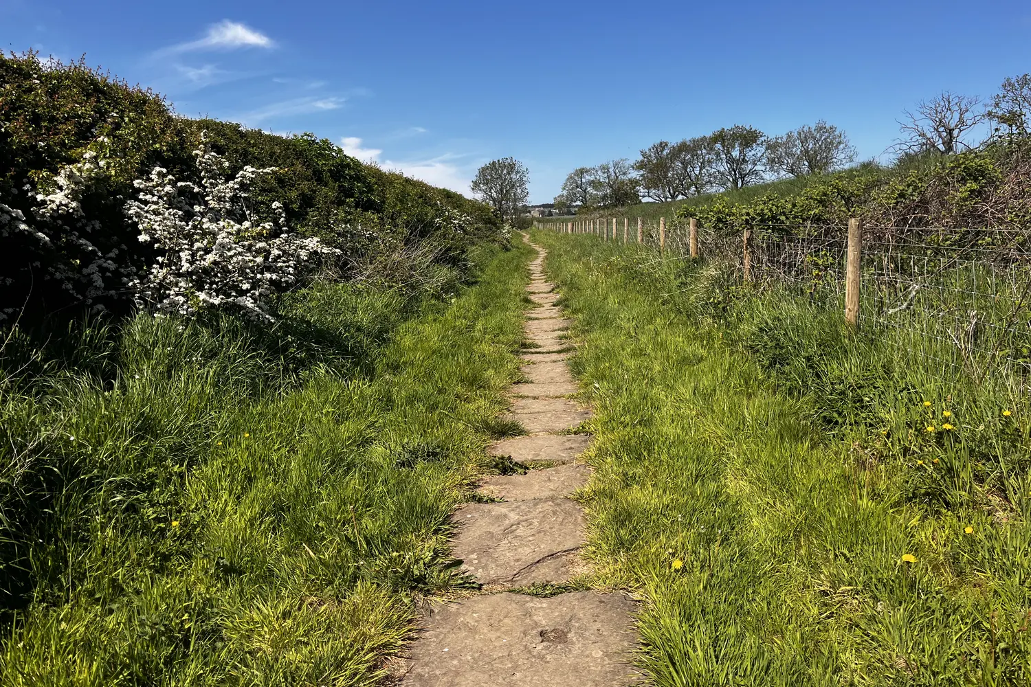 Hadrian's Wall Path in England, UK