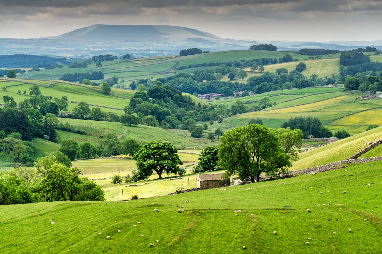 A view of the Yorkshire Dales, near Malham.