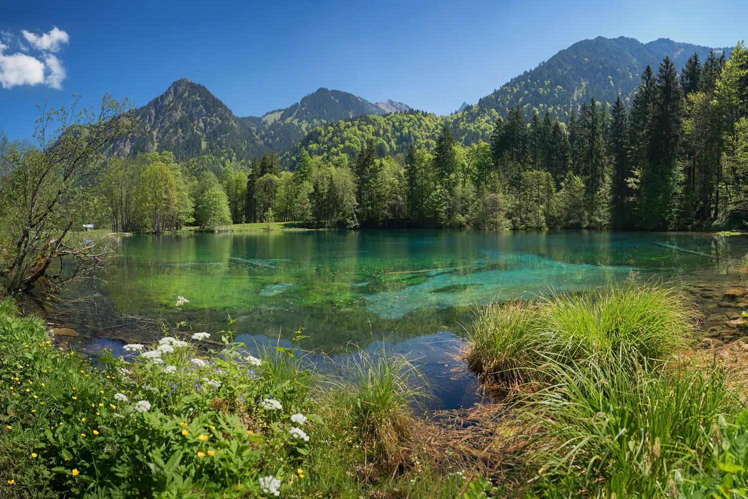 Christlessee is a stunning, crystal-clear mountain lake in the Trettach Valley near Oberstdorf