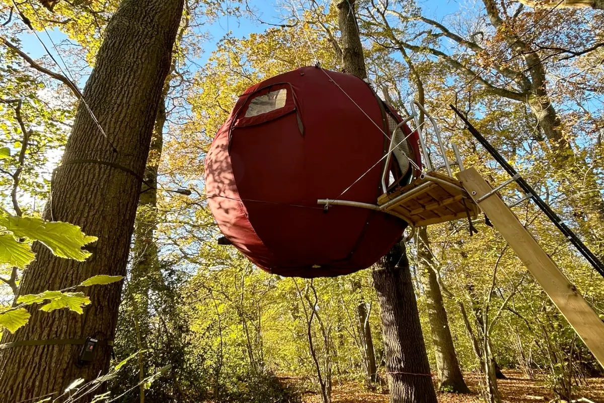 Hanging Strawberry Airbnb in England