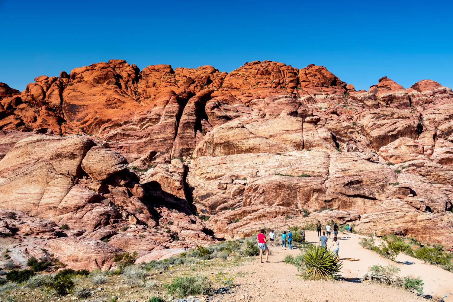 Red Rock Canyon in Las Vegas, Nevada, USA