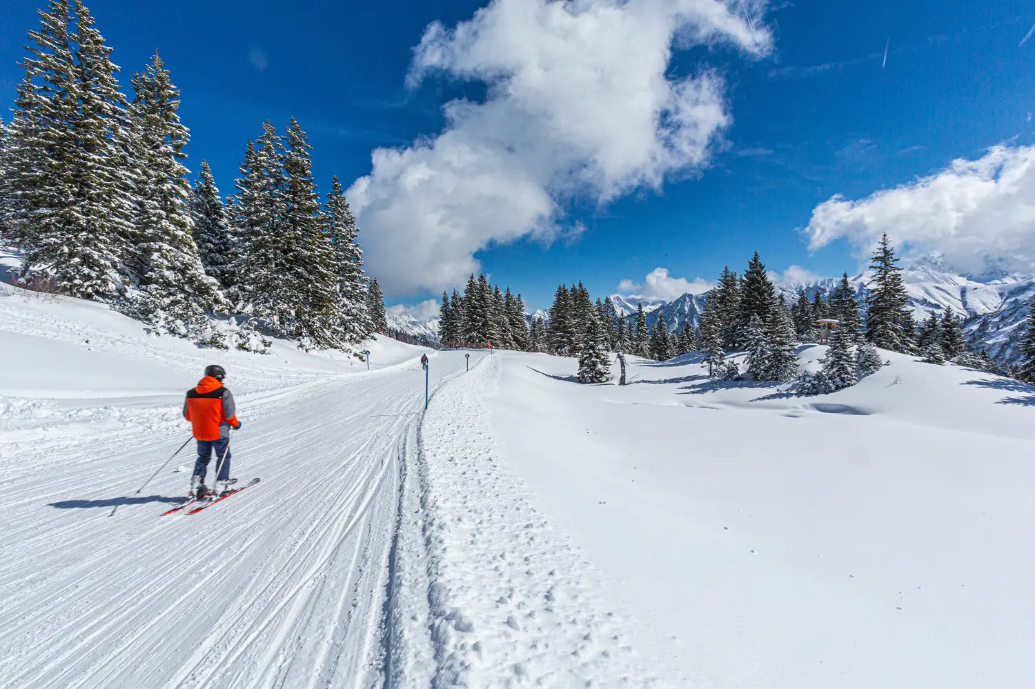 Person skiing in Bavaria, Germany