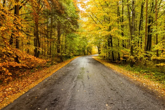 Road leading through autumn foliage at Green Mountain National Forest