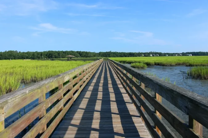 Huntington Beach State Park, South Carolina