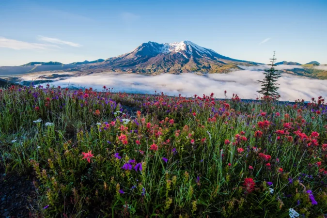 Mount St. Helens National Volcanic Monument in Washington
