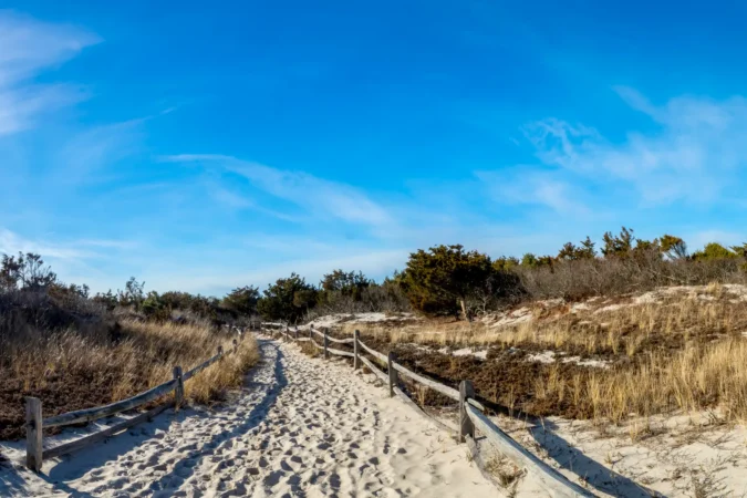 Trail to beach at Island Beach State Park in Berkely Township, New Jersey.
