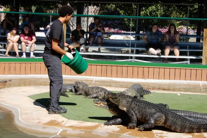 Reptile Gardens in Rapid City, South Dakota