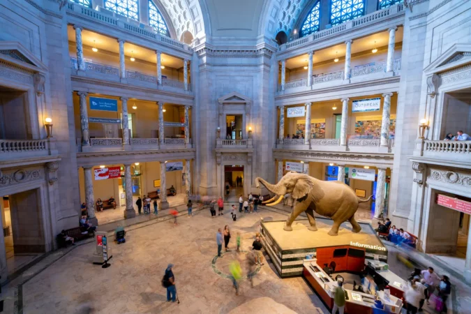 The National Museum of Natural History in Washington DC