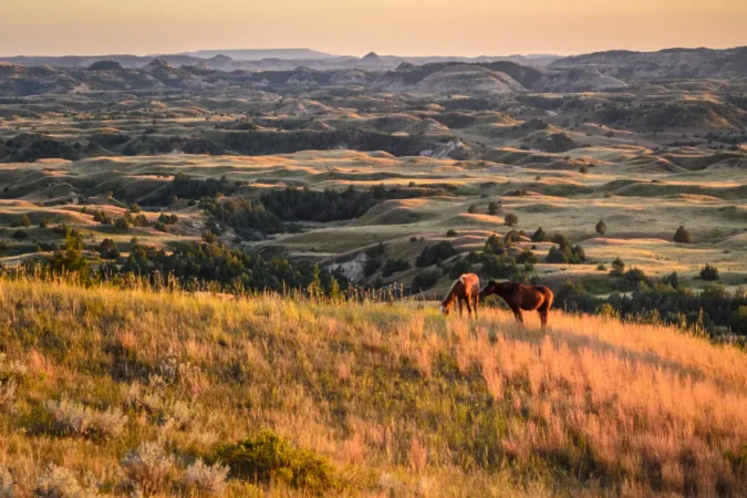 Theodore Roosevelt National Park in North Dakota