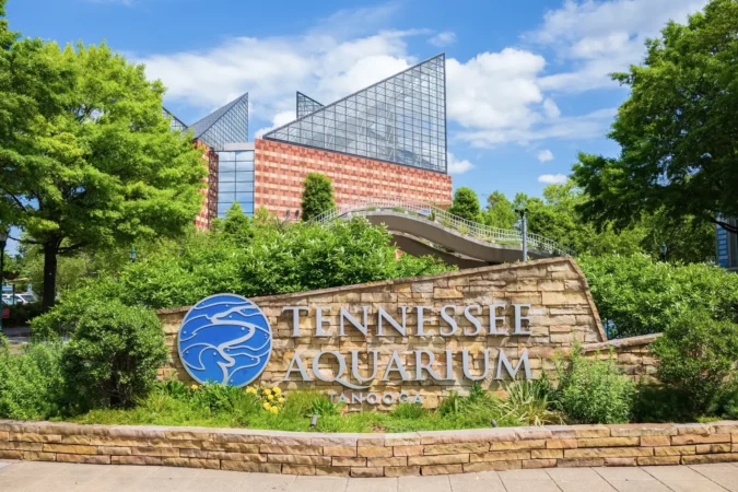Tennessee Aquarium in Chattanooga, Tennessee, USA