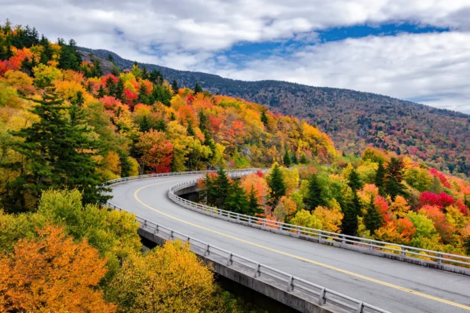 Autumn foliage along the Blue Ridge Parkway in North Carolina
