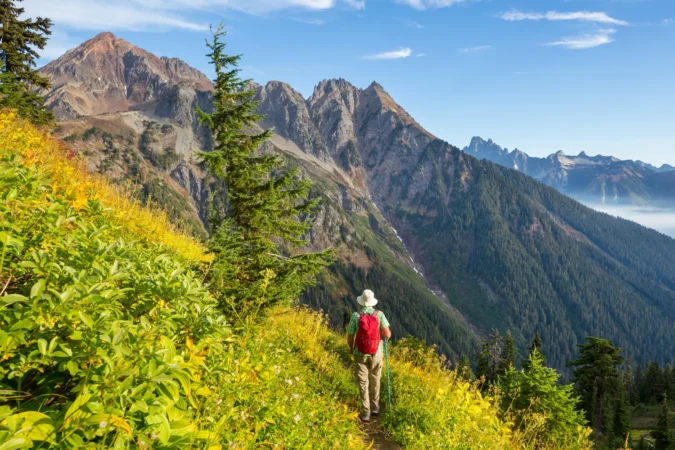 Mt. Baker recreation area, Washington, USA