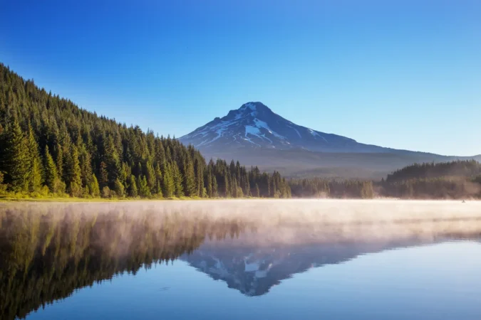 Mount Hood reflection in Trillium lake, Oregon, USA