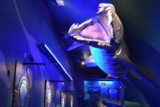 Adventure Aquarium in Camden, New Jersey