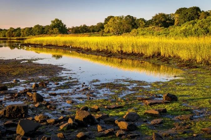 Bristol Colt State Park in Rhode Island