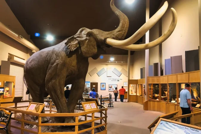 Mammoth Site at Hot Springs, South Dakota