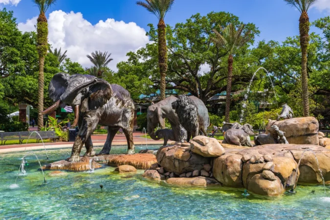 Audubon Zoo in New Orleans Louisiana