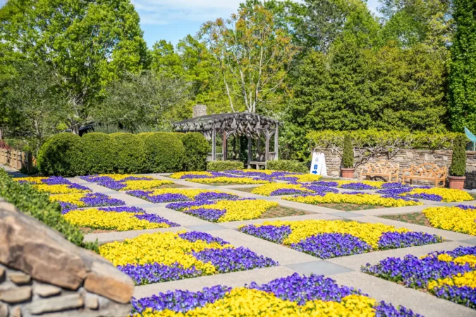 Asheville Botanical Garden