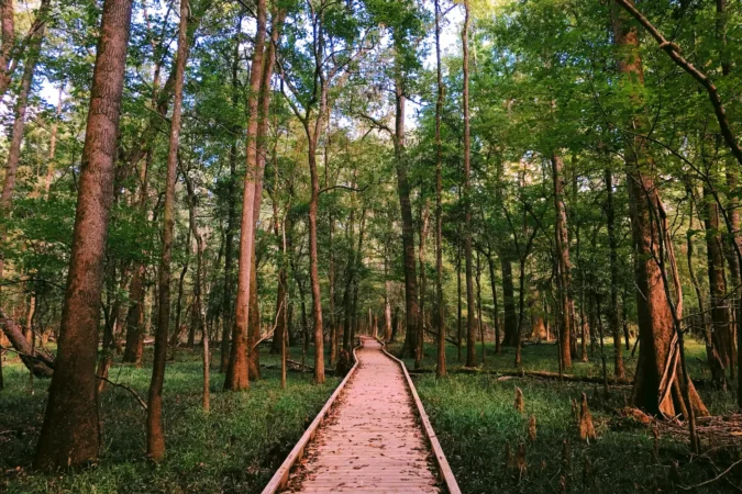 Congaree National Park in South Carolina