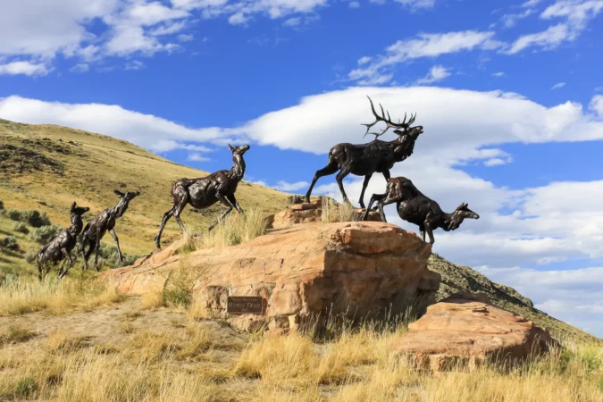 Bart Walter bronze sculpture "Wapiti Trail" in National Museum of Wildlife Art in Jackson, Wyoming