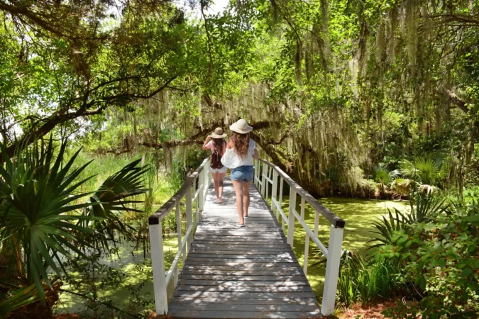 Magnolia Plantation and Gardens in South Carolina